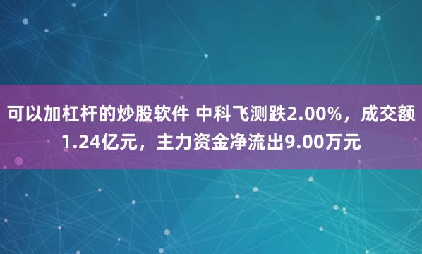 可以加杠杆的炒股软件 中科飞测跌2.00%，成交额1.24亿元，主力资金净流出9.00万元